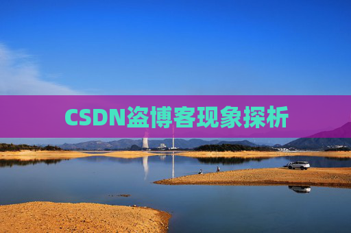 CSDN盗博客现象探析